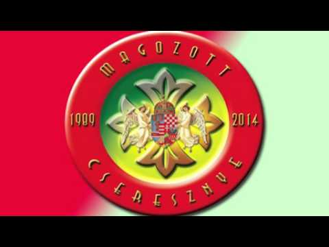 Magozott Cseresznye-Árva madár