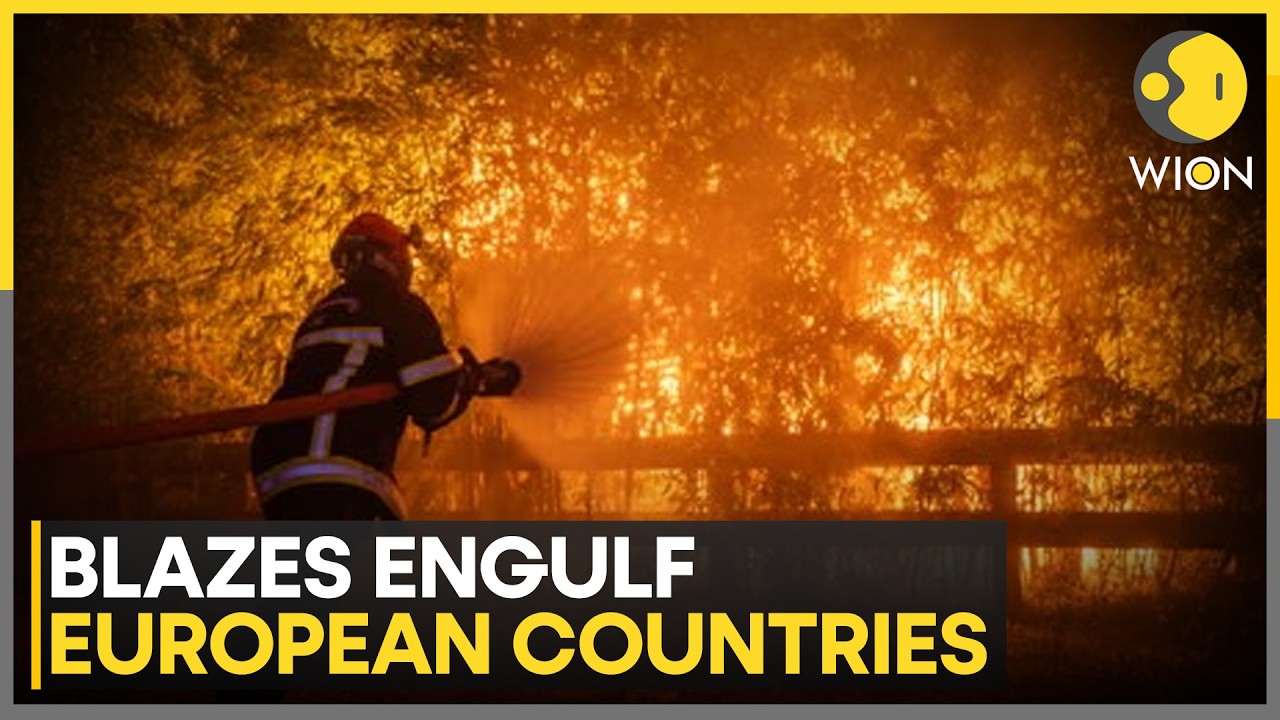 Europe Wildfires: Firefighters Battle Blaze From Greece To Northern Europe | WION News