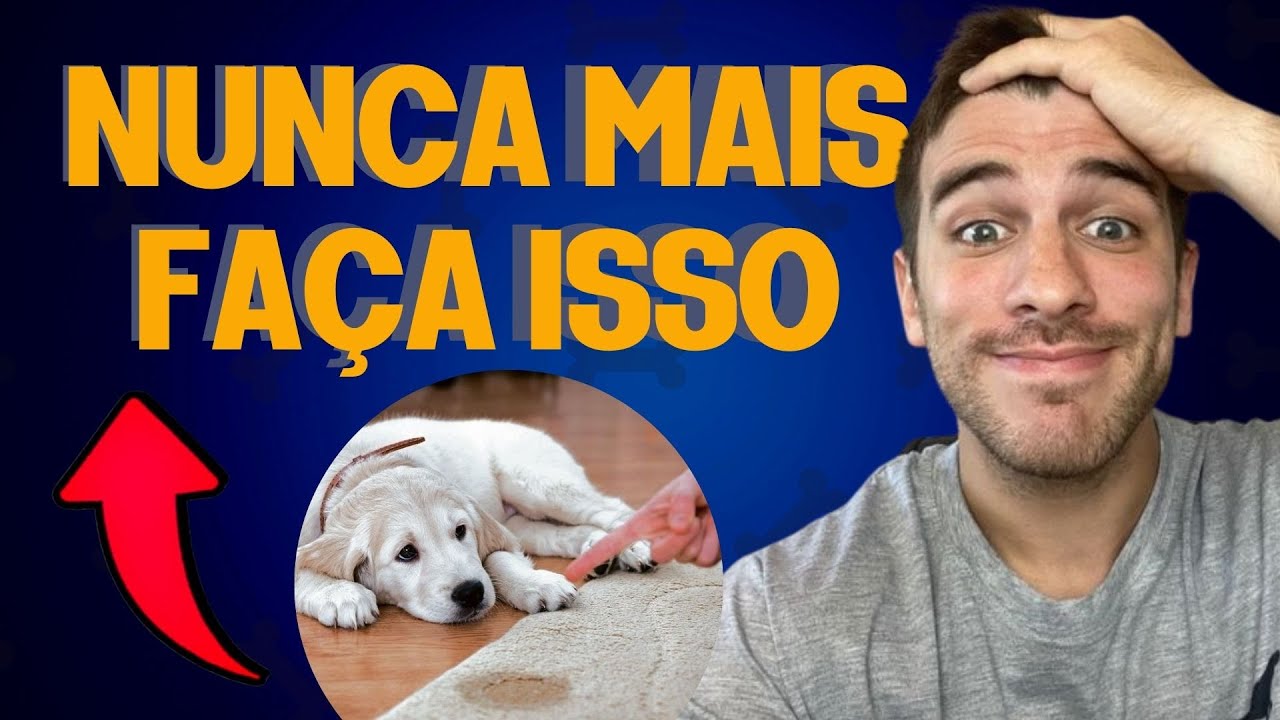 Qual jeito certo de brigar com cachorro? Você precisa saber !