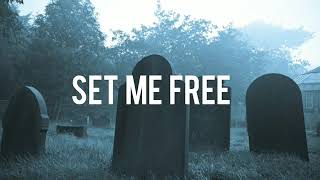 Set Me Free - The Amity Affliction || sub. español