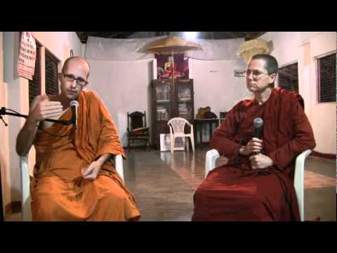 Ask A Monk: Equanimity of a Buffalo