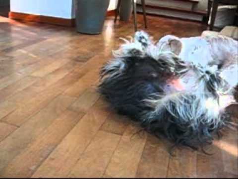 L'eterno conflitto tra madri e figlie