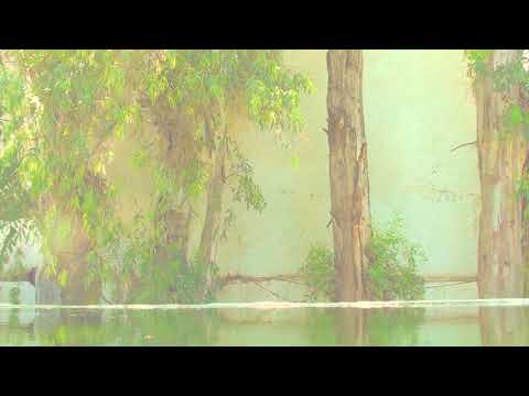 " Un ange passe. On l'attrape et on l'encule " Jean Cocteau. Pierre Lamoureux des Arts.