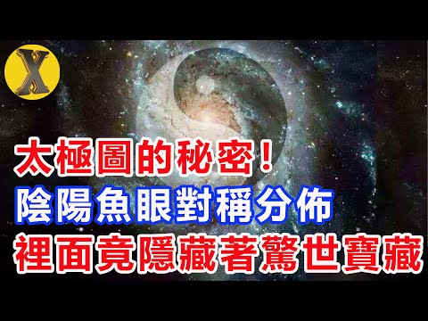 陰陽魚正確太極圖