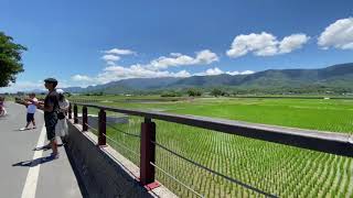 [理查看世界] 台東伯朗大道