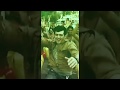 Seval Kodi Parakuthada Whatsapp Status Full Screen