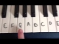 Seven Nation Army Intro For Beginners Keyboard