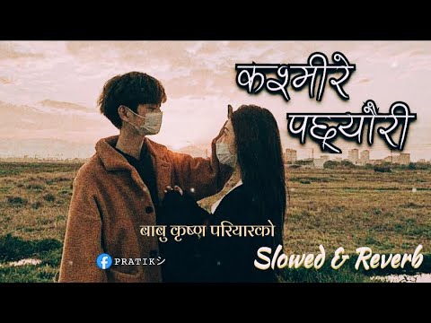 Kasmire Pachhyauri [Slow+Reverb+Lofi] New Nepali Romantic Song -Babu Krishna Pariyar &Depika Bayambu