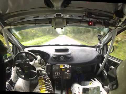 RALLY DI PISTOIA 2013: BETTINI - ACRI WWW.IDEAIMMAGINE.NET