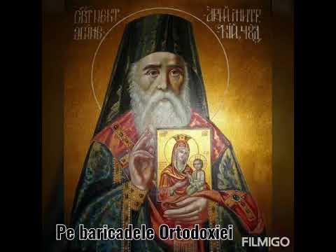 Vino Sfinte Nectarie