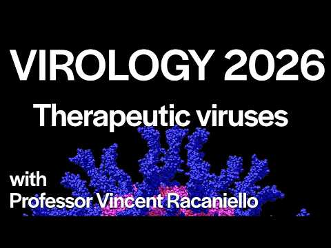 Virology Lectures 2026 #25: Therapeutic viruses