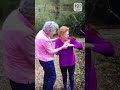 Cardinal Bird Visits Family After Their Grandmother Passes
