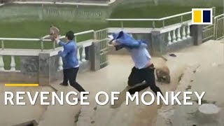 Monkey takes revenge after being pushed into pond
