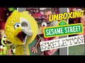 Sesame Street Unboxing Skeleton Muppets Jason Freeny