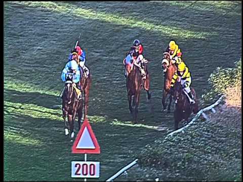 Galoppo 16/12/2015 - 2° corsa