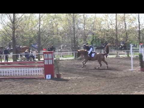 Ócsa, 2017. 04. 08. Tóth Bagi Dorka az R115 Joker-ben. (díjugratás)