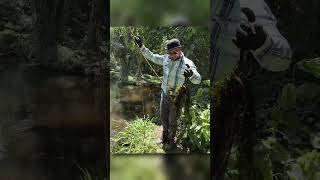 Sem Palavras - Paramos tudo depois de Encontrar tudo Isso no meio do rio - parte 1