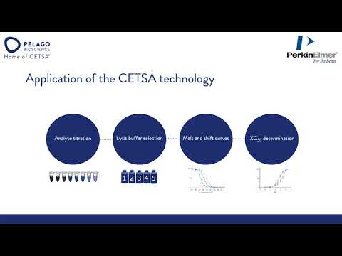 Launch of CDK2 and CDK4 Alpha SureFire® CETSA® Target Engagement Assay Kit