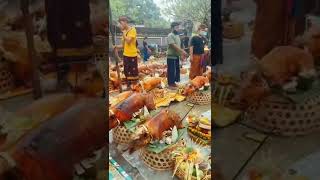 Download lagu perayaan hari raya Nyepi - selamat merayakan bagi yg melaksanakan nya ππβΊοΈ mp3 Download lagu perayaan hari raya Nyepi - selamat merayakan bagi yg melaksanakan nya ππβΊοΈ mp3