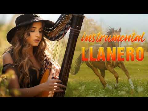 Conjunto Llano Adentro and Música Llanera