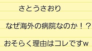 さとうさおりの人物像を考察します