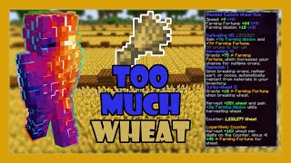 Too Much Wheat - Hypixel Skyblock Garden