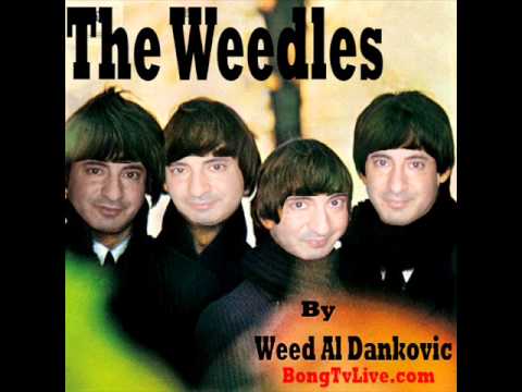Bong TV by The Weedles  (The Beatles parody)