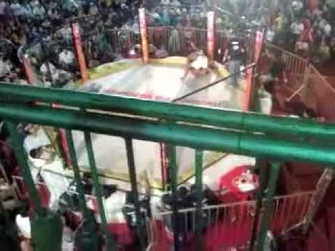 Caio Leão vs Preguiça (Macapa)