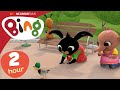 Ducks Picnic And MORE 2 Hours Full Episodes Compilation Bing English