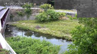 鹿の湯橋映像監視局