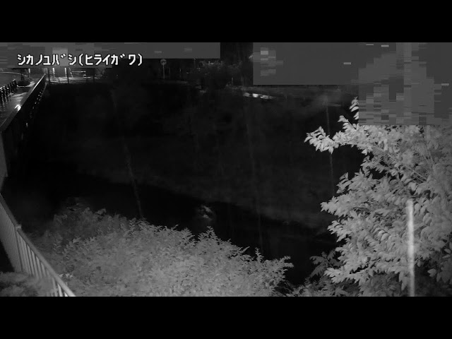 鹿の湯橋映像監視局