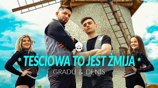 Kadr z teledysku Teściowa to jest żmija tekst piosenki Gradu feat. Denis