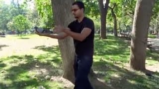 Bringing a Bird Back to Life: Street Magic | David Blaine