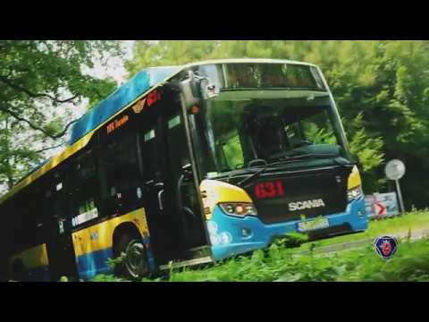Kości z tyłu stopy Flatfoot. palucha koślawego