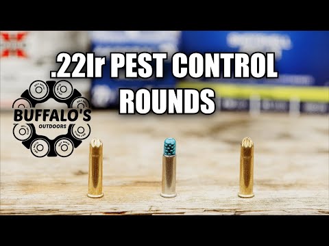 Which .22lr SHOTSHELL is best? Pest Control Showdown