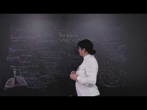 Biologji 8 Perseritje Frymekembimi