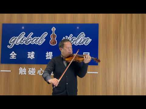 Level A handmade professional violin sound demo (DY-01-002)