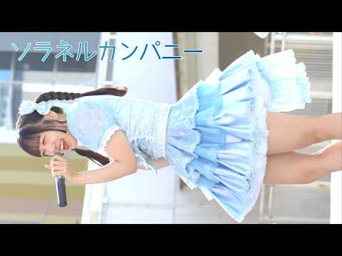 動画のタイトルなど