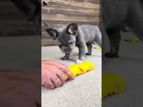 Video 2
