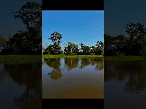 Navegando por Autazes. #amazonia #autazes #navegação