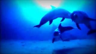 DIOS DE MI SALVACION MARCOS WITT LETRA