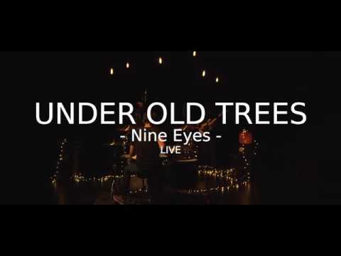 Under Old Trees - Nine Eyes // Live Session