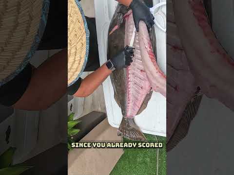 How to Fillet a California Halibut- BIG ONE  #fishing #howto #halibut