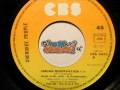 Cherokee People - Indian Reservation 45 RPM ...