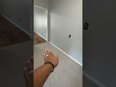 2783-2785 Brown - Video 2 of 2