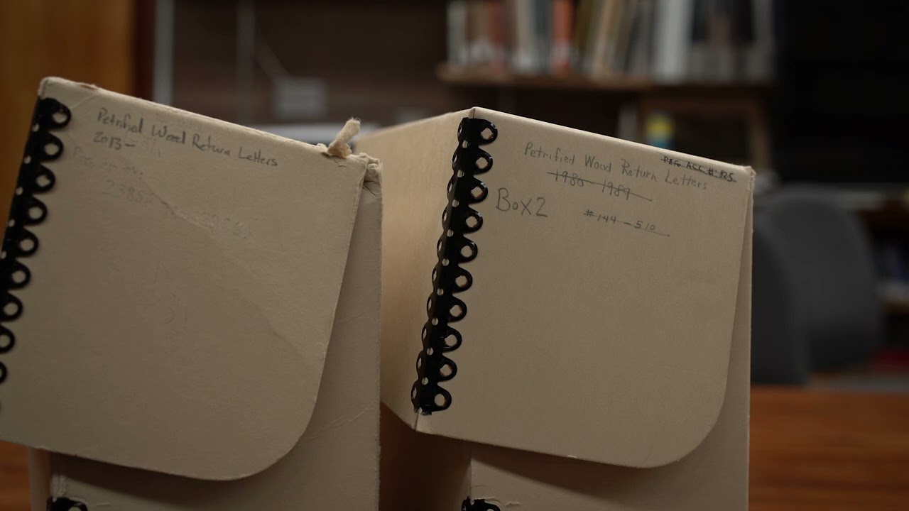 Hot Docs 2025 Trailer: THE CONSCIENCE FILES