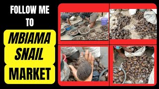 The Biggest Snail Market in Nigeria | Best Prices For Snail | Market Vlog