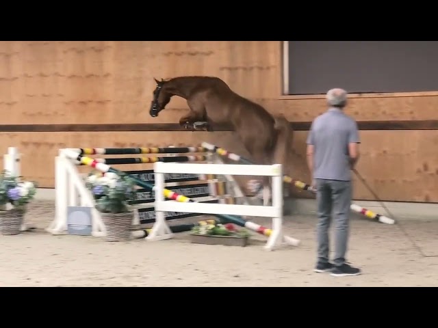 jumping