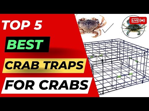 Top 5 Best Crab Traps For Blue Crabs