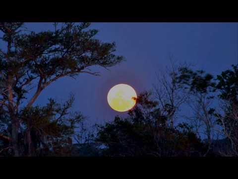 Trăng về Bình Ba Sheet - Ngọc Xuân